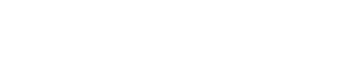 aviatur