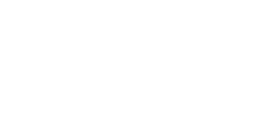 logo-4