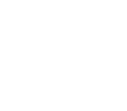 porvenir