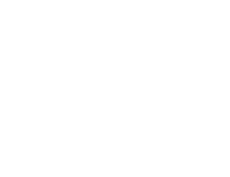 tigo