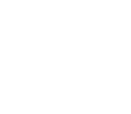 porvenir