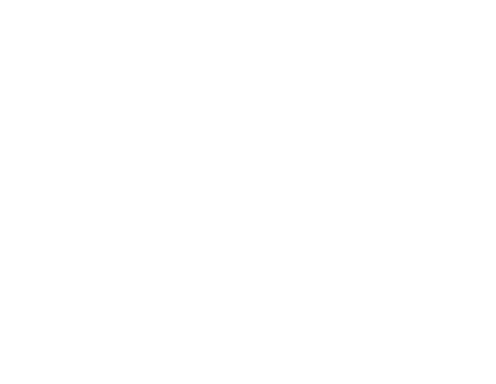 tigo